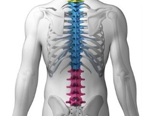 Pain in the lumbar region is a symptom of spinal diseases